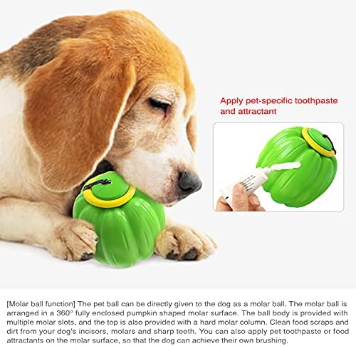 כדור צעצוע של כלב כדור צעצוע עמיד בפני כדור צעצוע ניקוי שיניים צורת דלעת צורת כדור אינטראקטיבי לכלבים של חתול גור לחיות מחמד לועס צעצועים