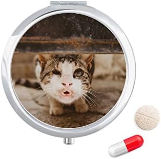 בעלי החיים מצחיק חתול צילום לירות גלולת מקרה כיס רפואת אחסון תיבת מיכל מתקן